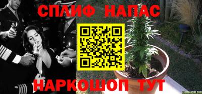 соль ск Канаш