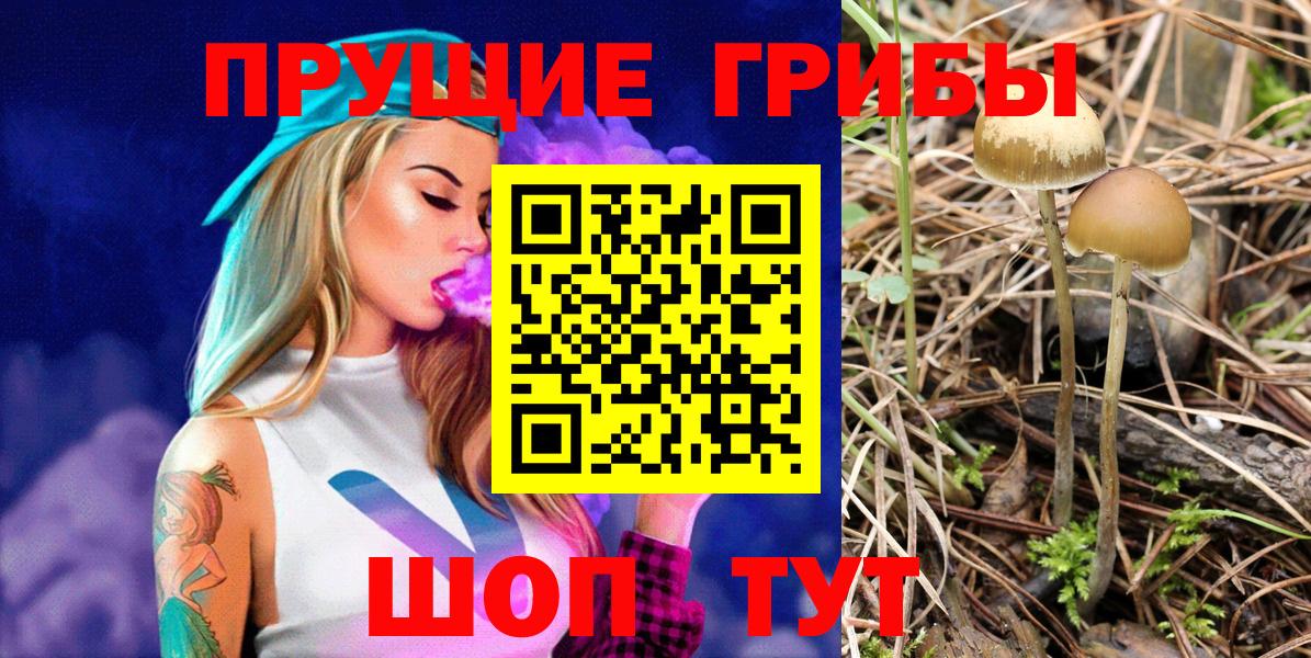 Галлюциногенные грибы Cubensis  Вход с VPN  Кузнецк 