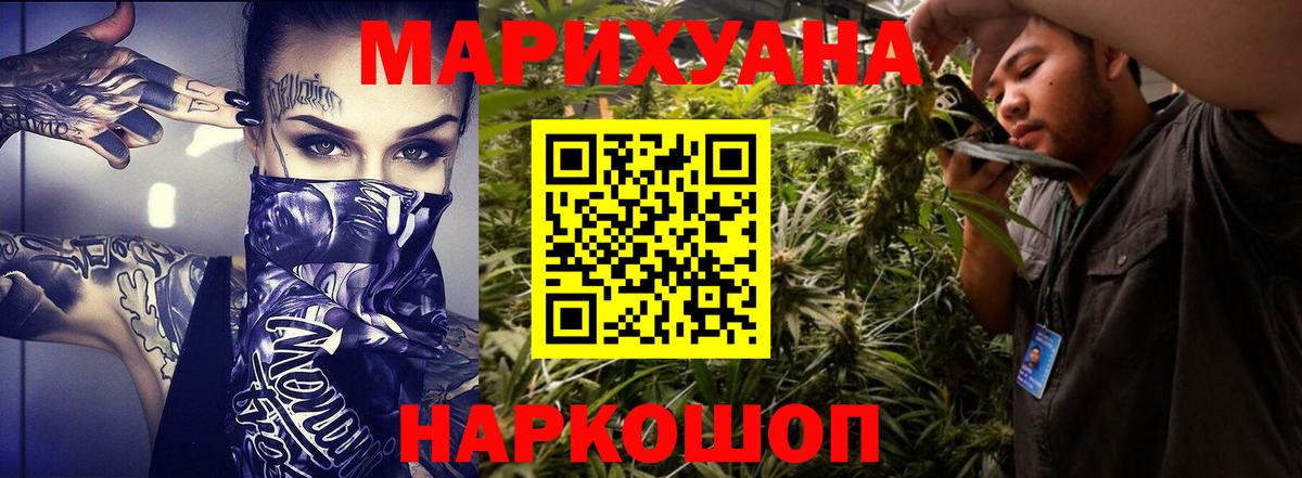 Марихуана план Кузнецк